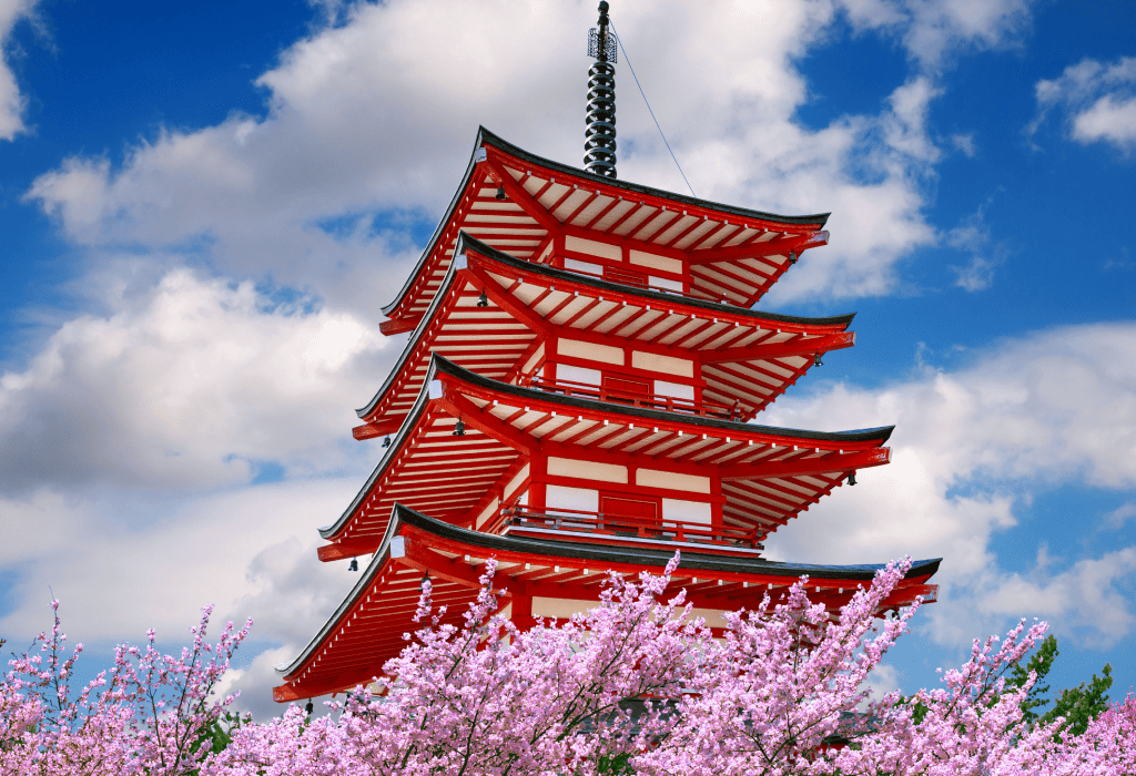 Tokyo: Private Cherry Blossom Experience – the best of ancient & modern Japan
